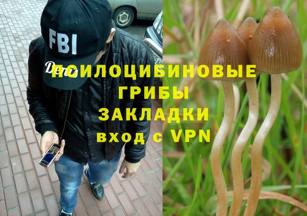 герыч Алзамай