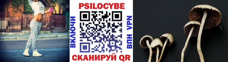Галлюциногенные грибы Psilocybine cubensis  Междуреченск 