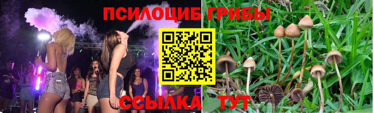 Галлюциногенные грибы мухоморы Междуреченск